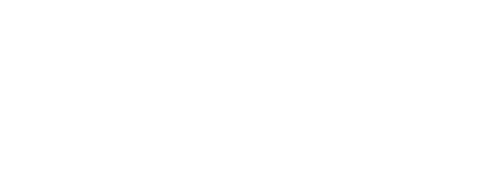 Logo of LEVEL-X - Inspire and Evolve